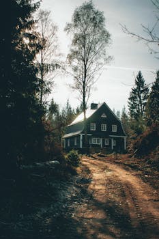 宁静的森林小径旁，高大的树木环绕着迷人的乡村房屋