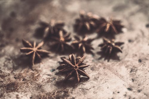 Shallow Focus Photo of Star Anise on Brown Pavement