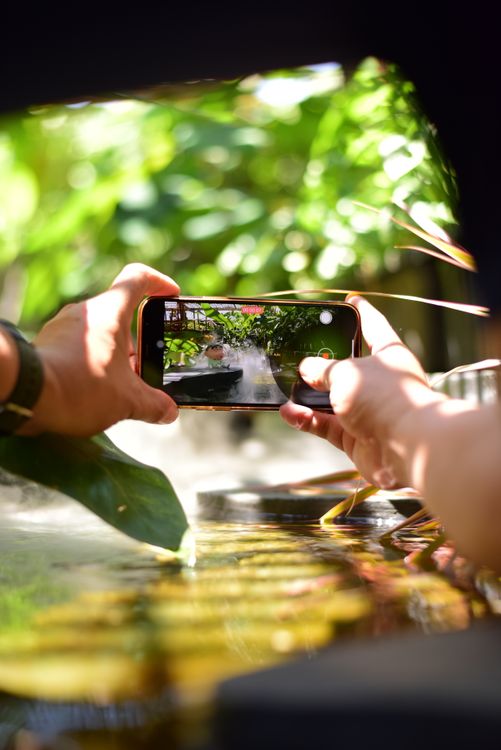 Mobile Capturing Capturing Nature with Mobile Phone Camera Β· Free Stock Photo