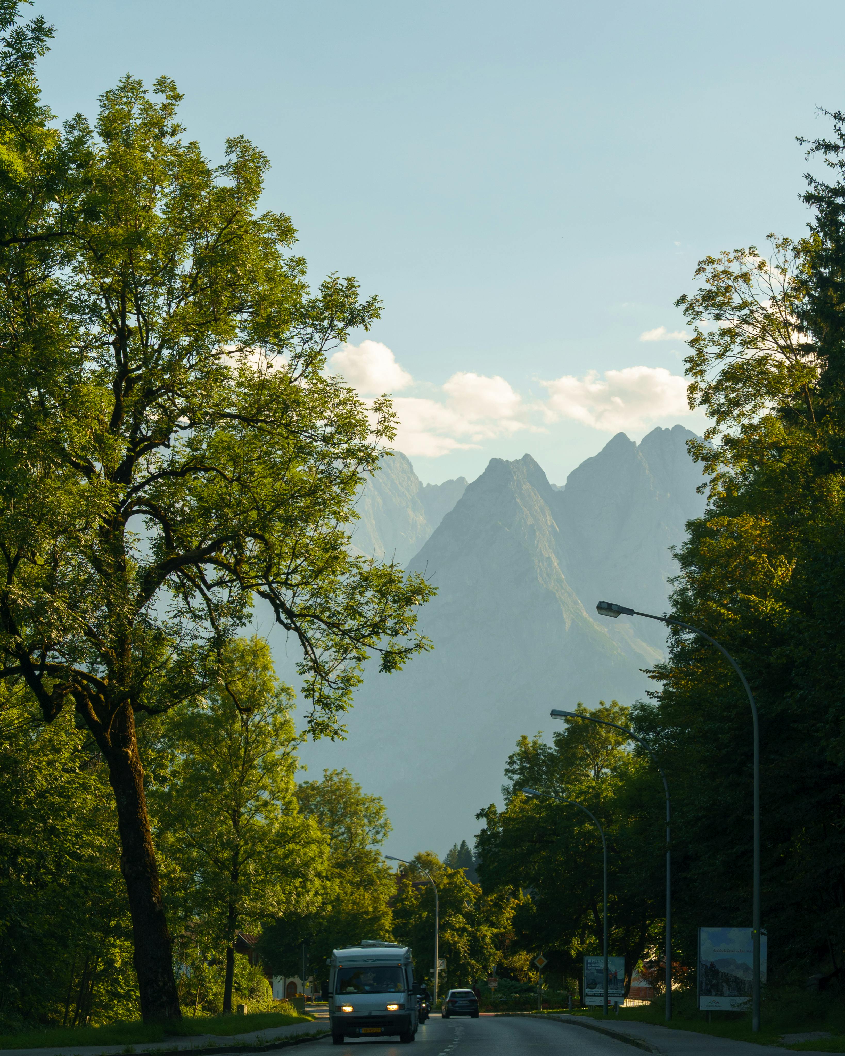 A tranquil road surrounded by lush green trees and distant mountains under a clear sky.