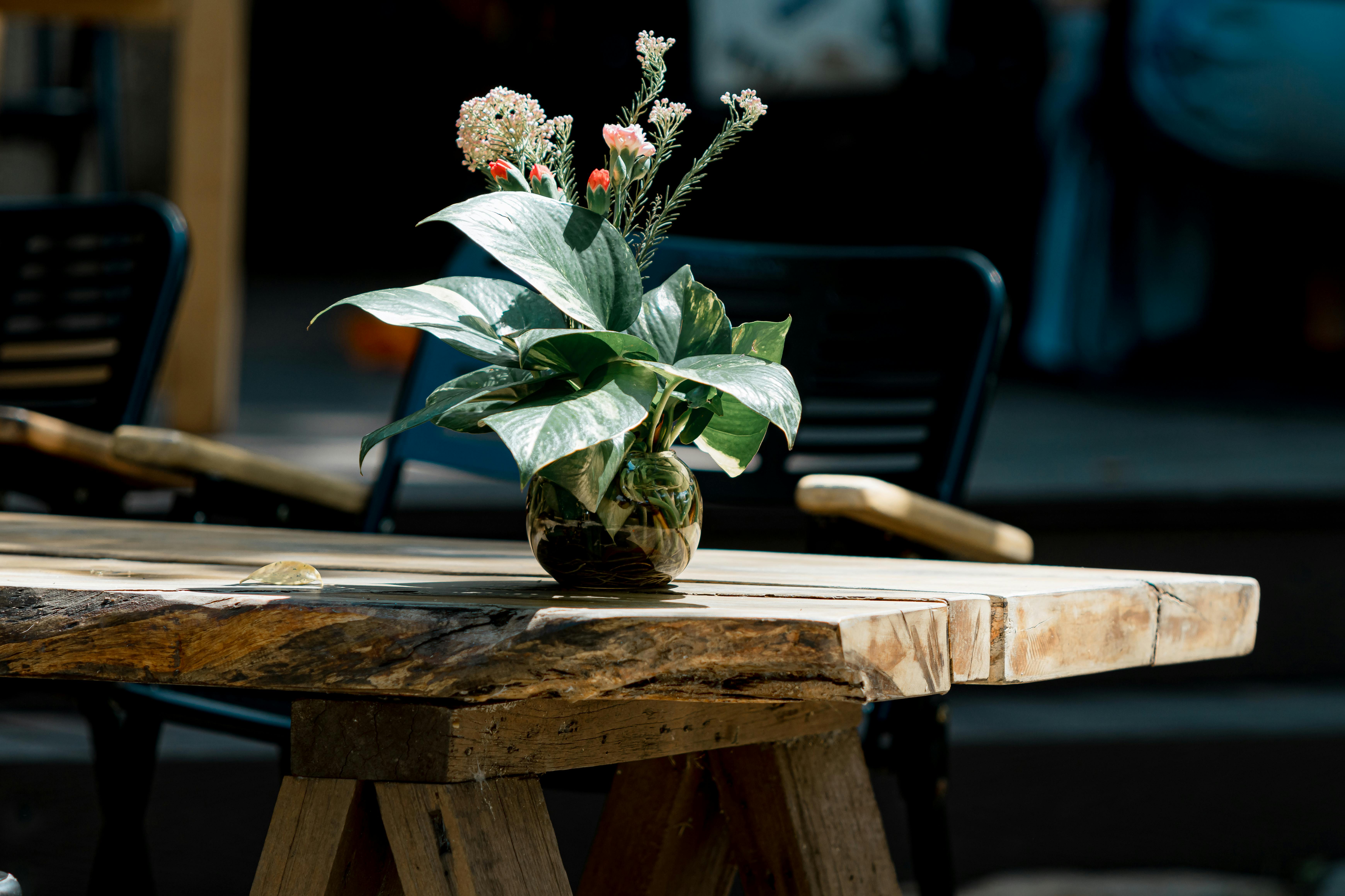 Guide complet pour entretenir vos meubles en bois