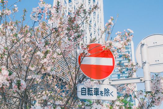 一个人站在十字路口，表情迷茫，象征焦虑的抉择