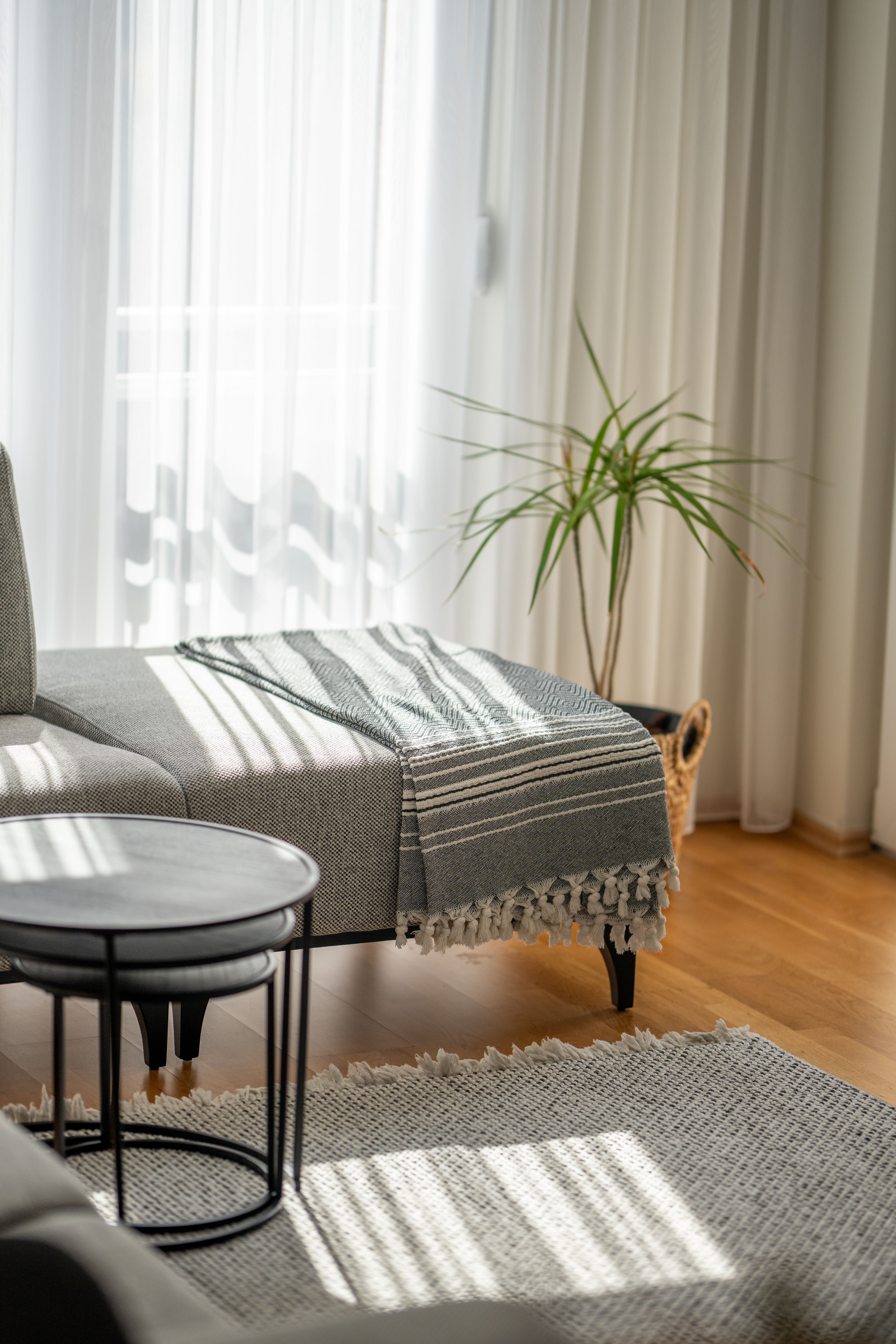 Minimalist Sunlit Scandinavian Living Room Interior Photo Inspiration