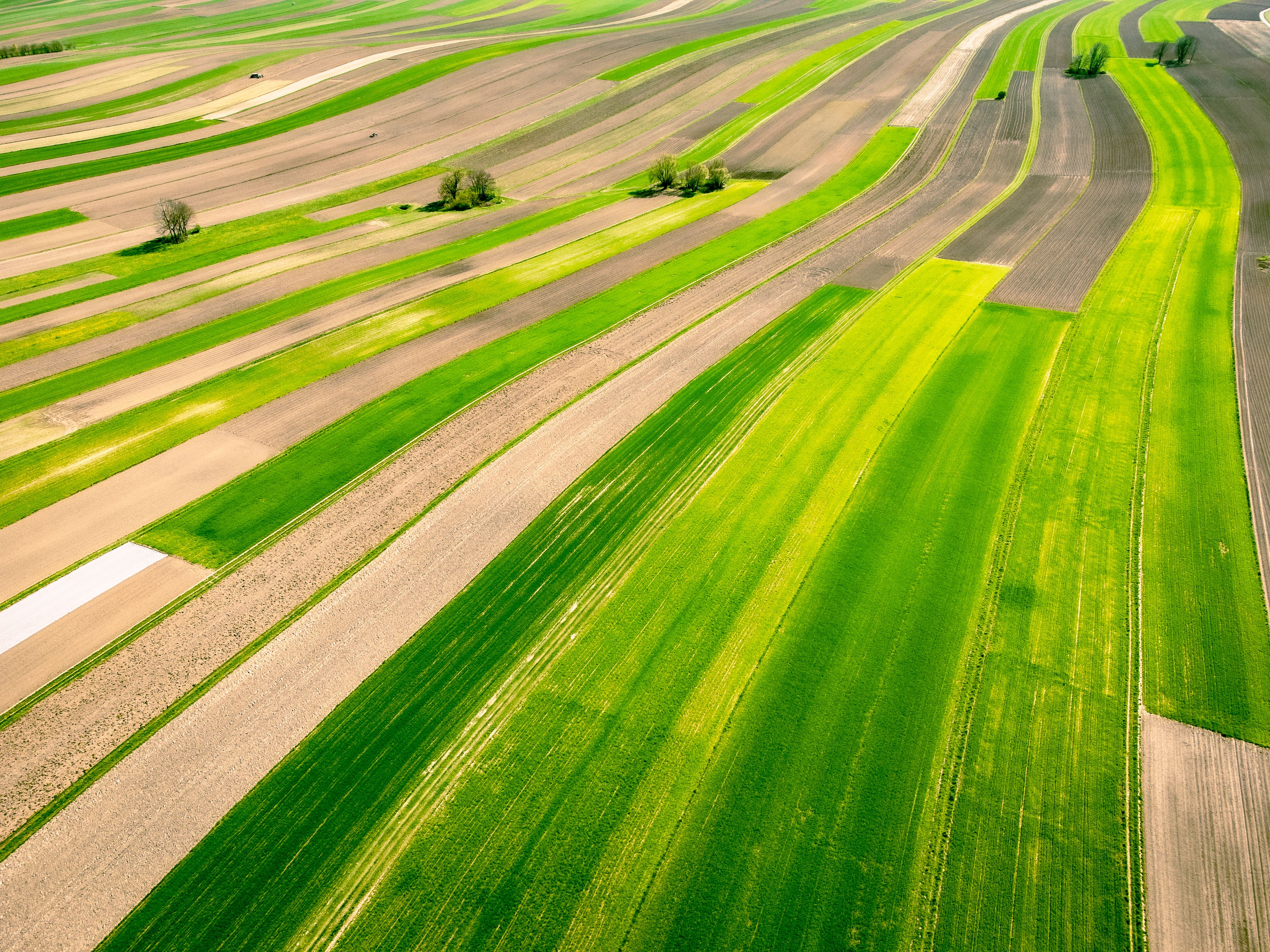 Vibrant green fields in Polska captured from above, showcasing the beauty of Polish countryside in springtime.