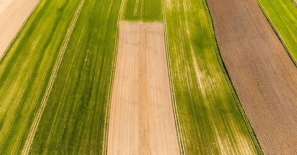 屏縣中小學科展亮點:科技創新串聯智慧農業