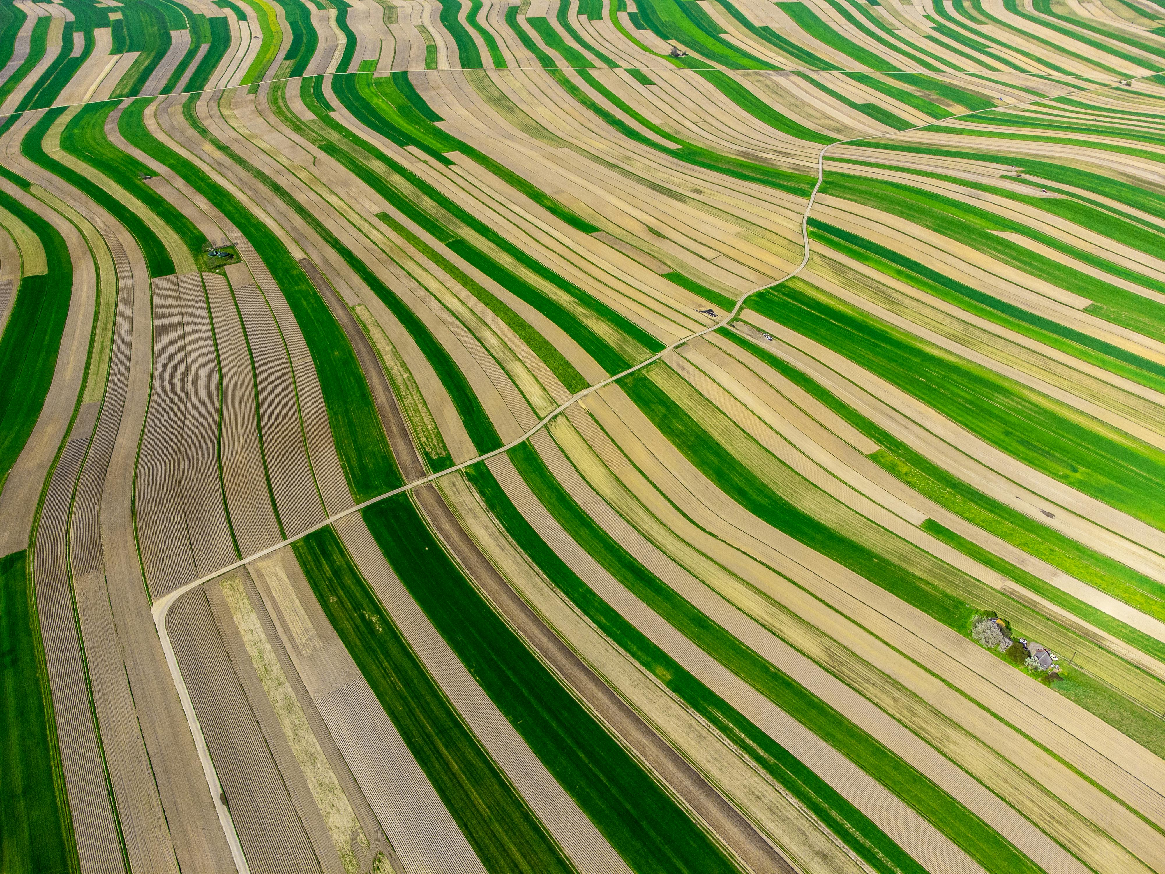 A stunning aerial photograph of striped fields in Poland, showcasing vibrant green and yellow patterns.