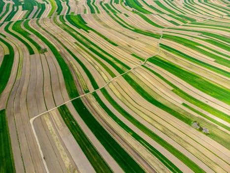 A stunning aerial photograph of striped fields in Poland, showcasing vibrant green and yellow patterns.
