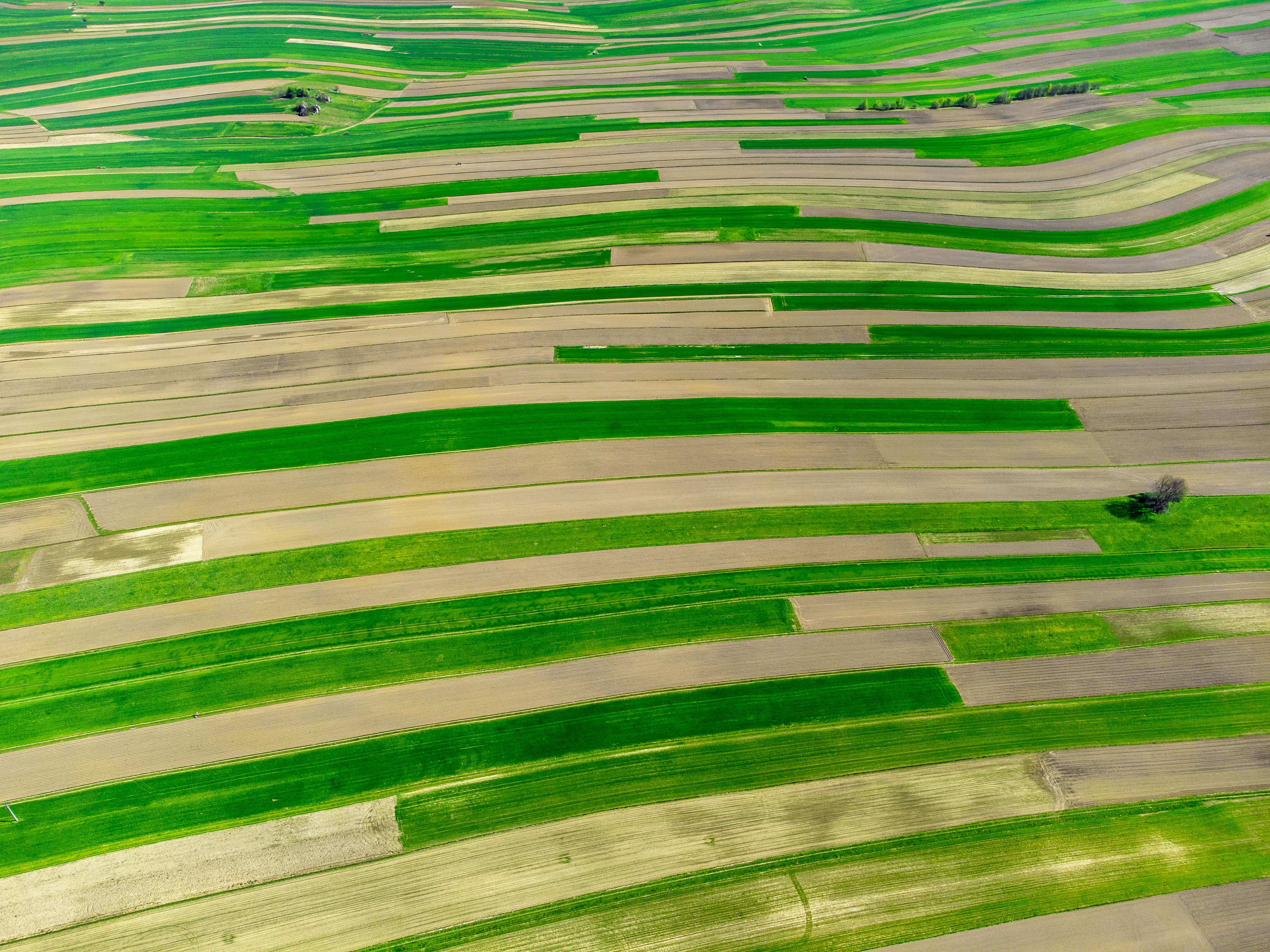 Vibrant aerial shot of lush, striped farmlands in Poland during spring, showcasing rural beauty and agriculture.