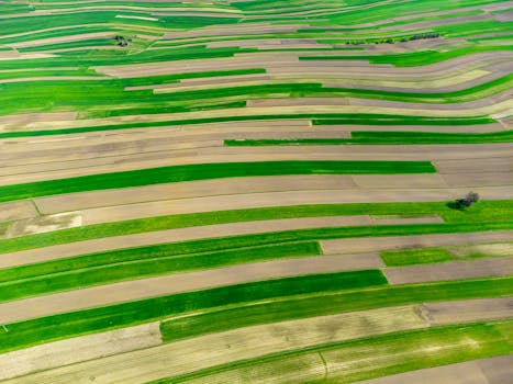 Vibrant aerial shot of lush, striped farmlands in Poland during spring, showcasing rural beauty and agriculture.