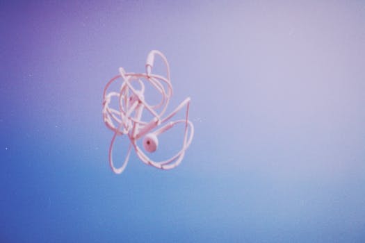 Earbuds That Finally Stay Put: Baseus Inspire XP1 Review Earbuds That Finally Stay Put: Baseus Inspire XP1 Review