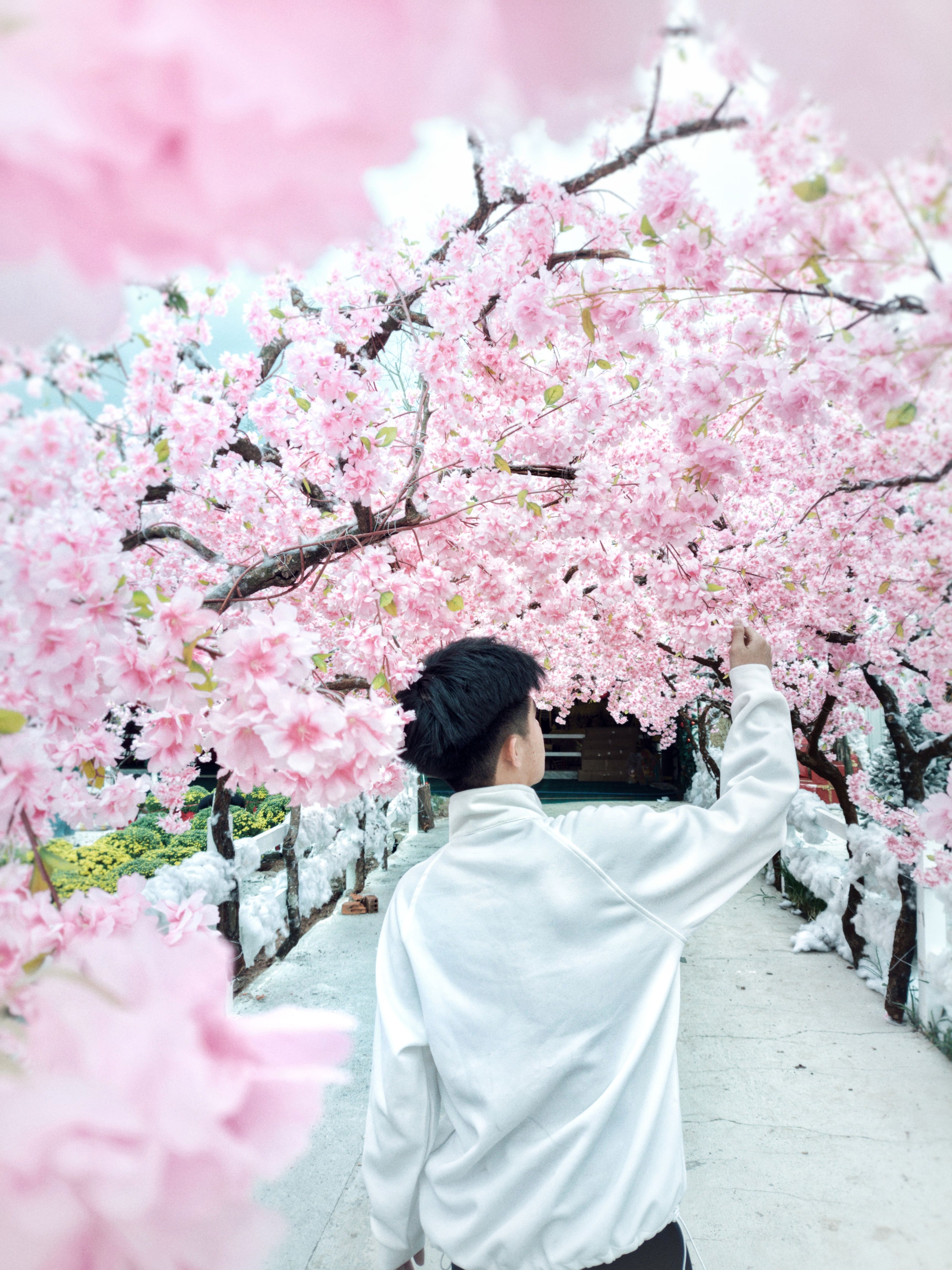 Discovering the Quiet Beauty of Yongding River, China's Hidden Gem