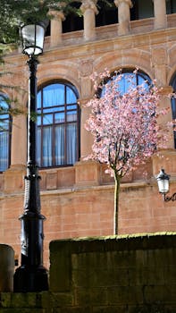 Cherry blossom tree against historic architecture in Soria, Spain, during springtime.