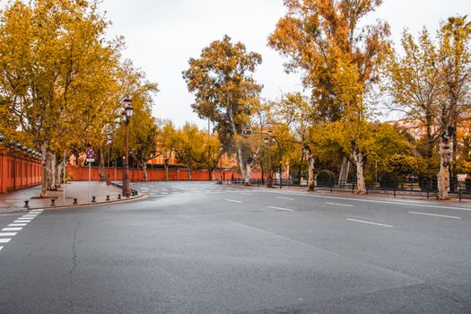 Serene autumn street view in Seville, Spain, showcasing vibrant foliage and empty roads.