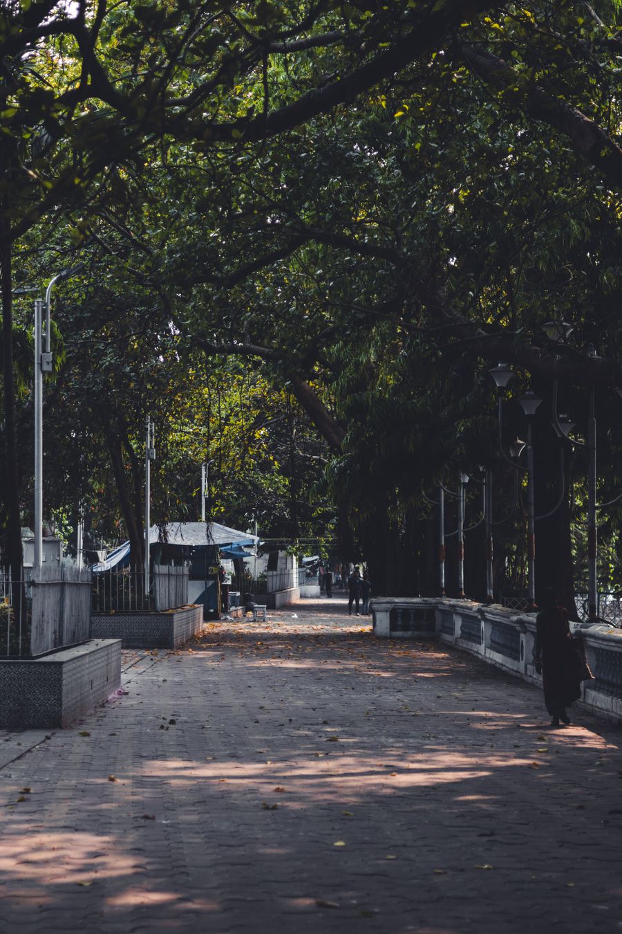 Shaded brick walkway under a canopy of mature trees