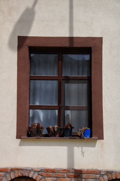 Free Charming rustic window with potted plants on a sunny wall, casting shadows. Stock Photo