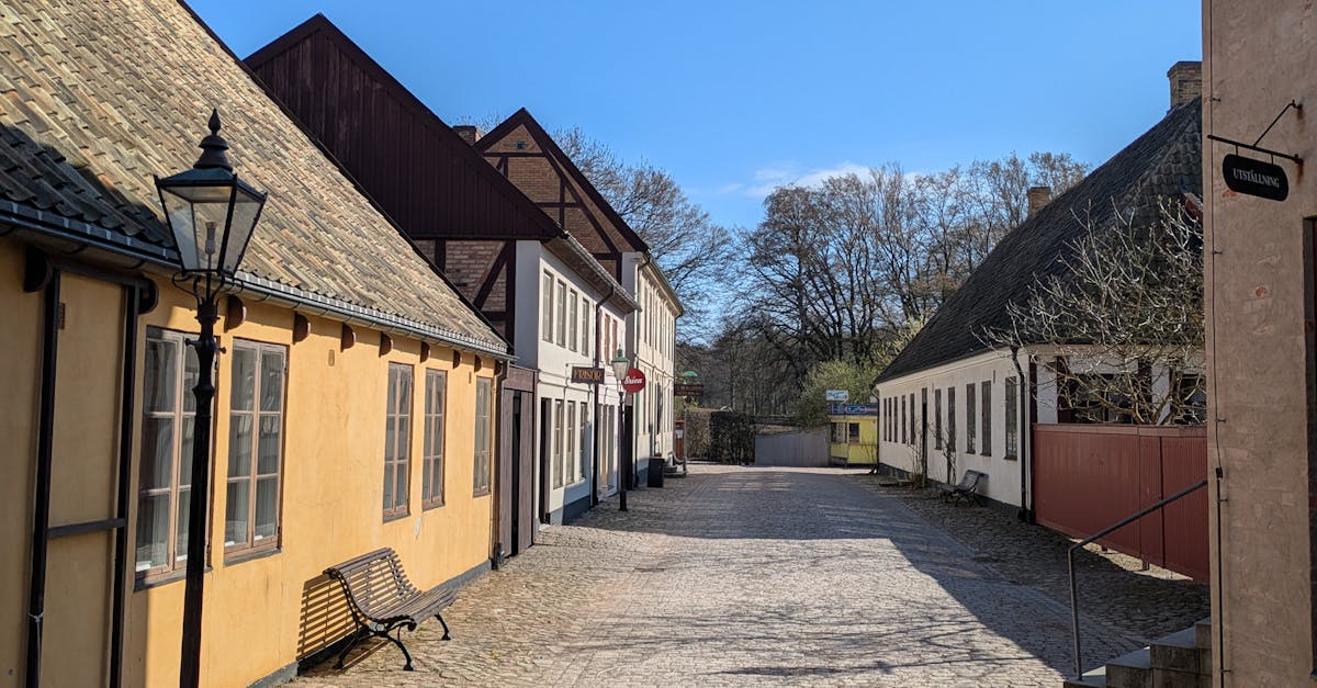 Expats in Denmark