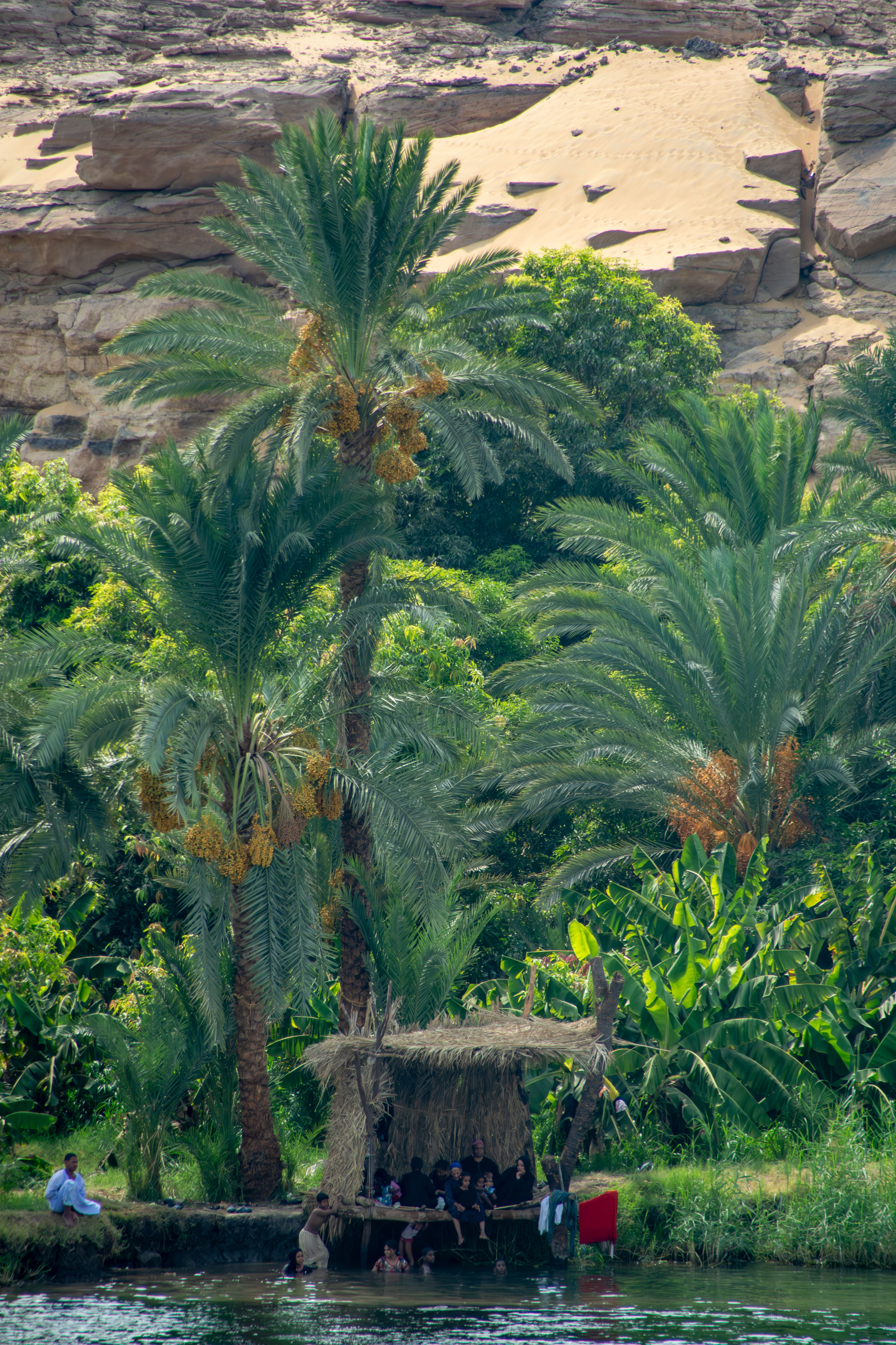 Scenic Riverside Palm Oasis in Egypt · Free Stock Photo
