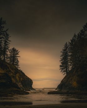 Serene sunset casting a warm glow over a tranquil coastal cove with silhouetted trees.