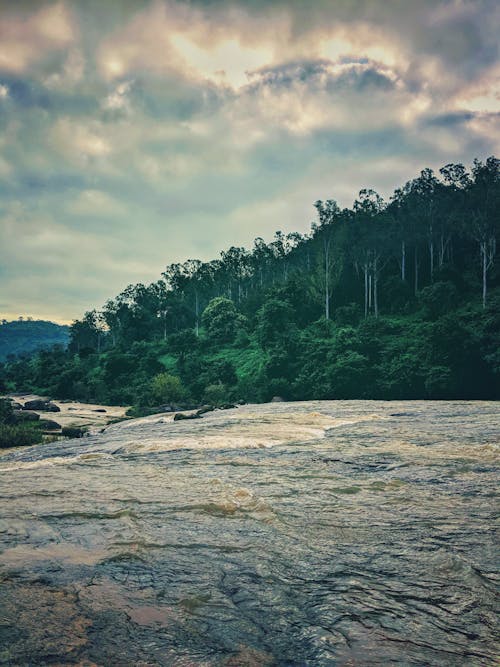 Free stock photo of holiday, india, morning