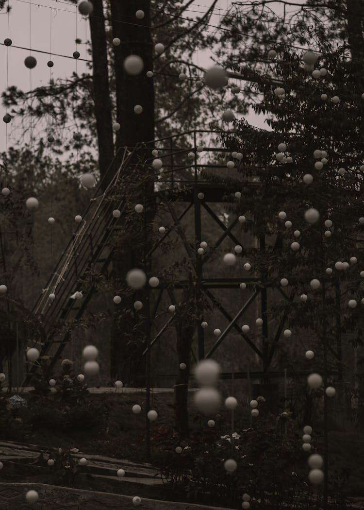 Monochrome Photo Of Hanging Balls