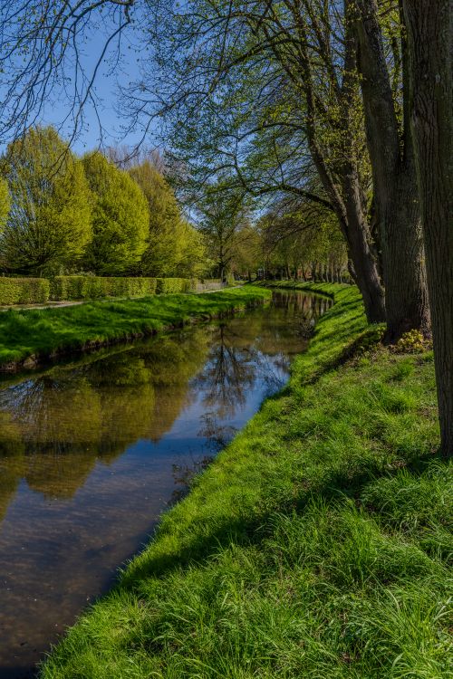 Free A serene river with lush green trees and grass in a spring park. Stock Photo