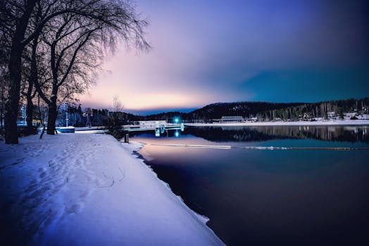 芬兰韦斯屈莱冬日傍晚宁静，湖面冰封，树木银装素裹