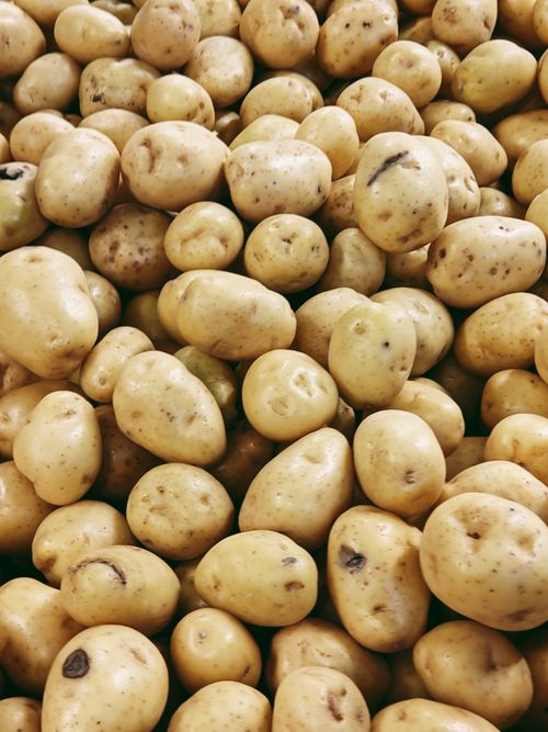 Free High-angle view of a heap of fresh potatoes, showcasing their natural texture and color. Stock Photo