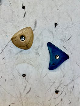 Close-up of colorful climbing holds on an indoor wall surface.