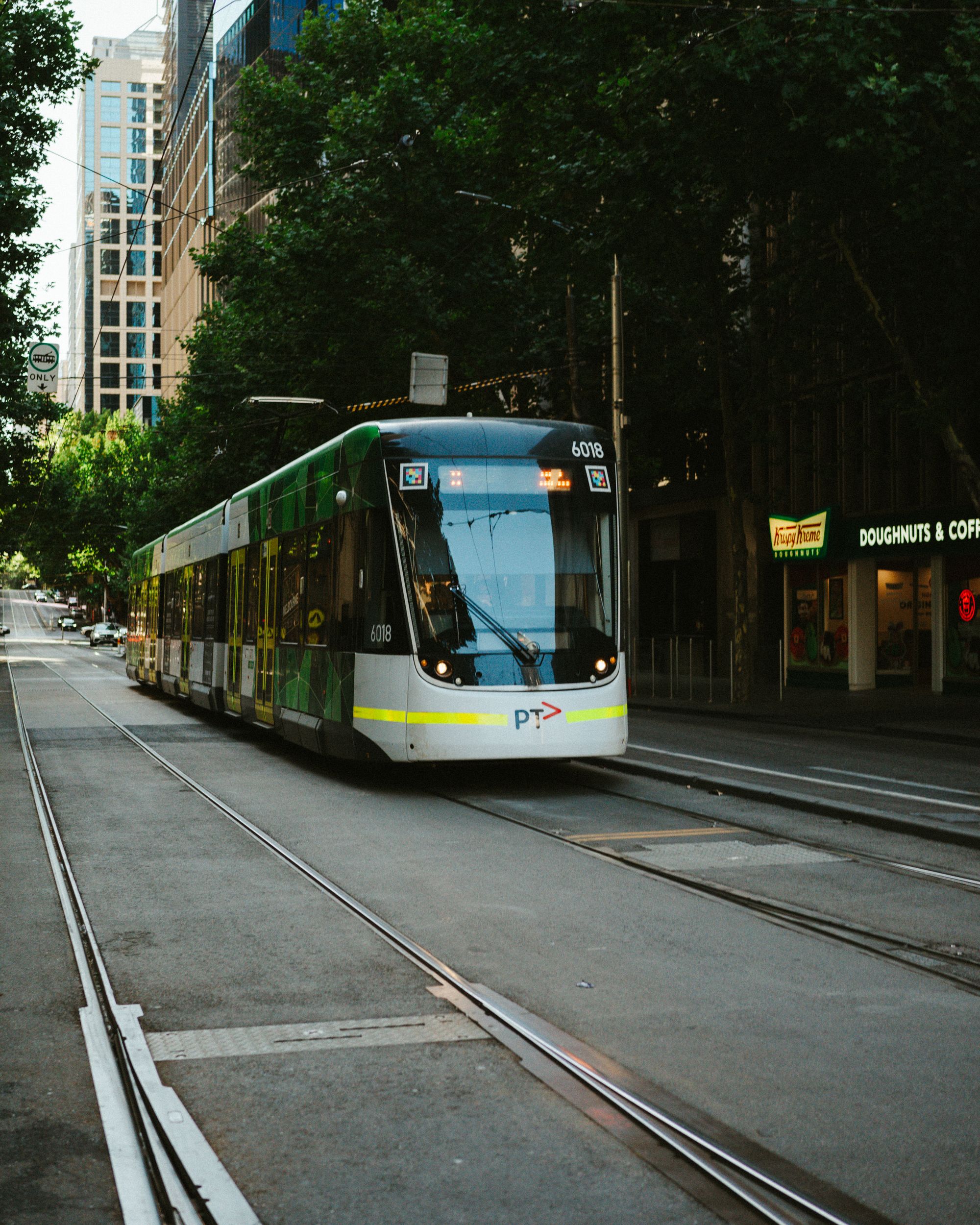 Modern Tram on a Tree-Lined Melbourne Street · Free Stock Photo