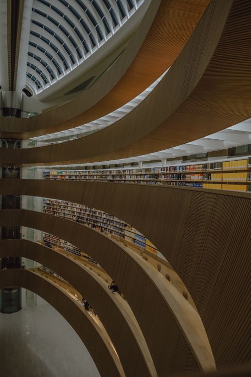 Library Columns Modern Architectural Library with Curved Shelves · Free Stock Photo