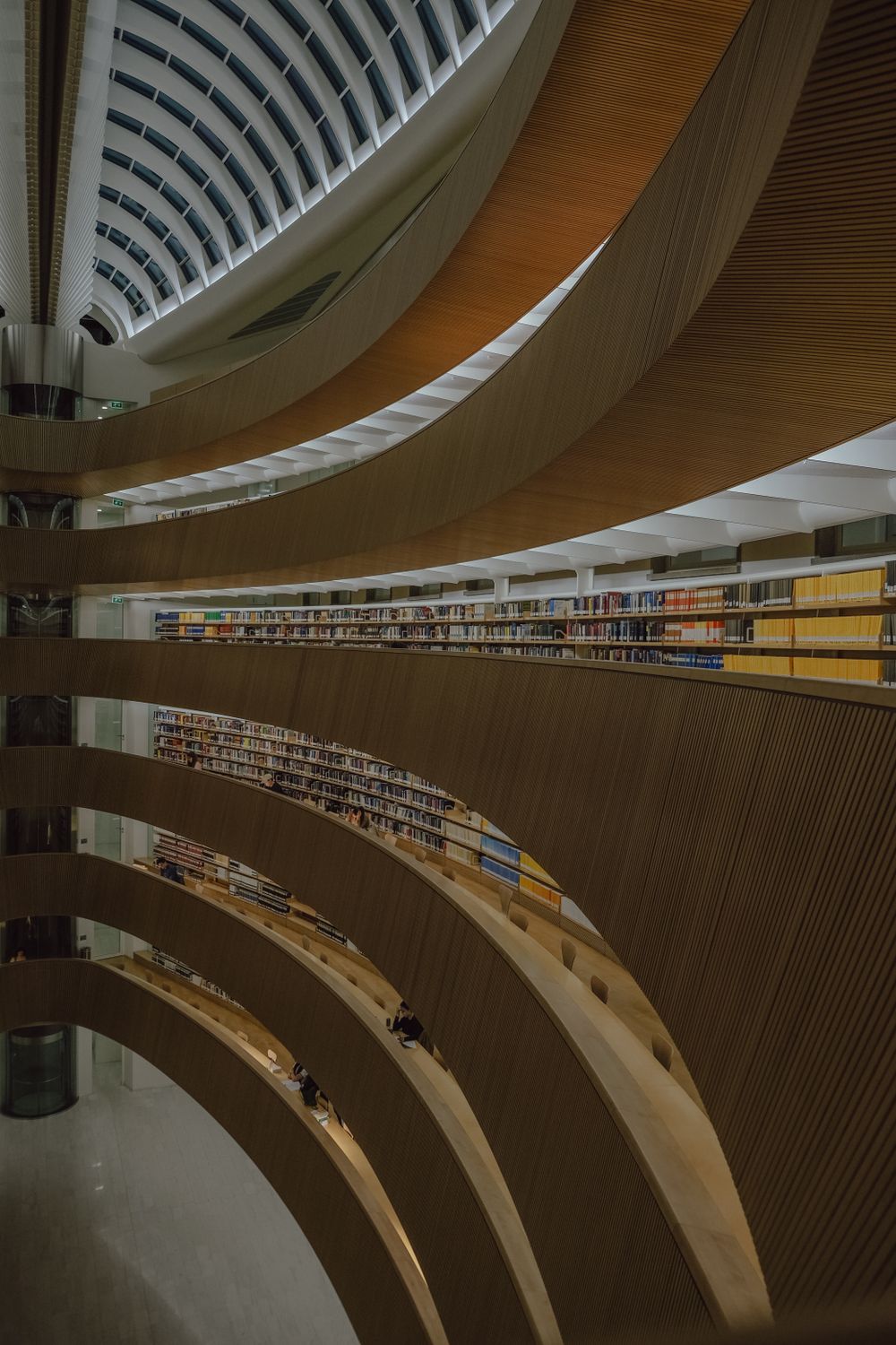 Library. Design Curved Rows Modern Architectural Library with Curved Shelves · Free Stock Photo