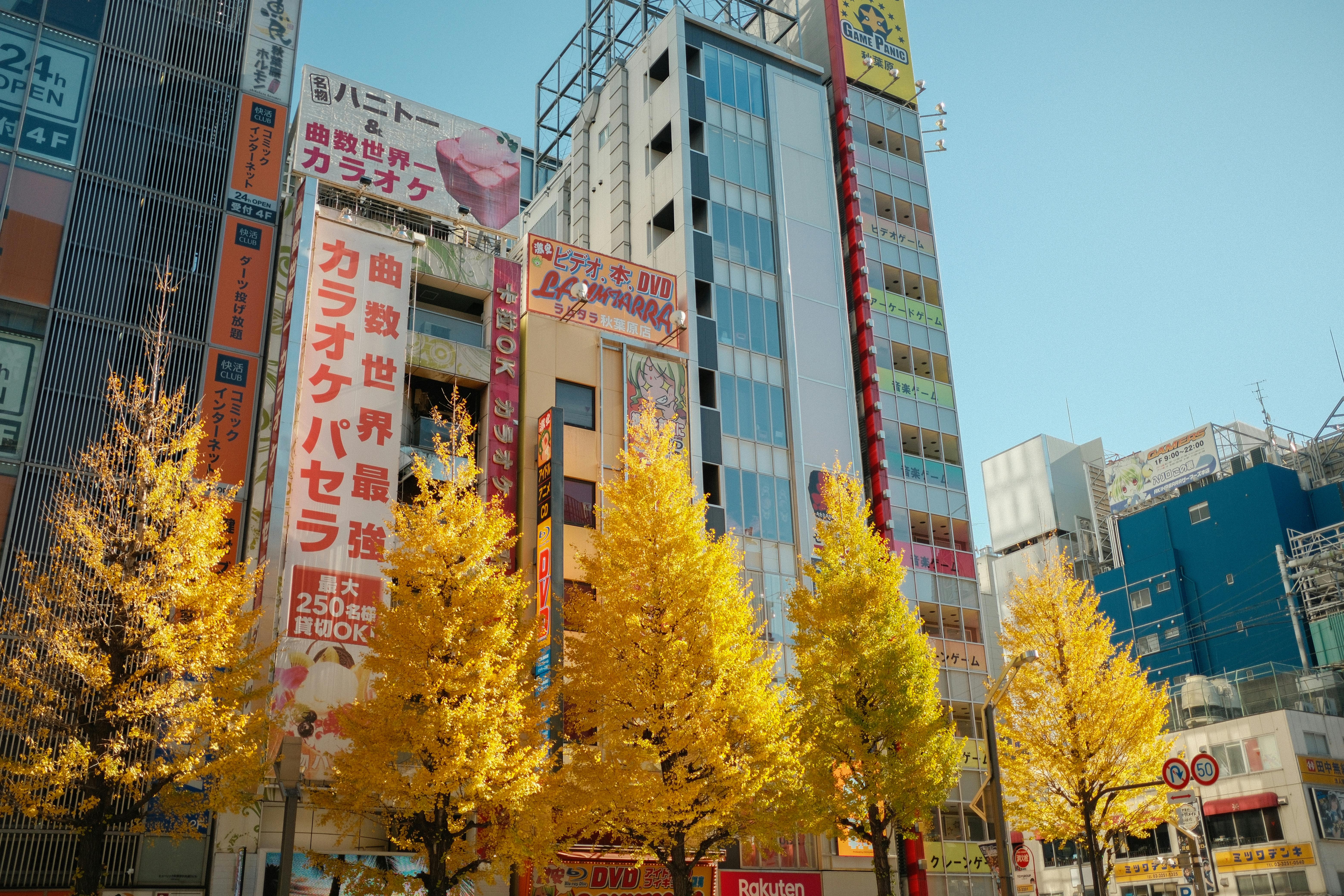 Colorful autumn trees line the streets of bustling Tokyo, Japan, amidst high-rise buildings.