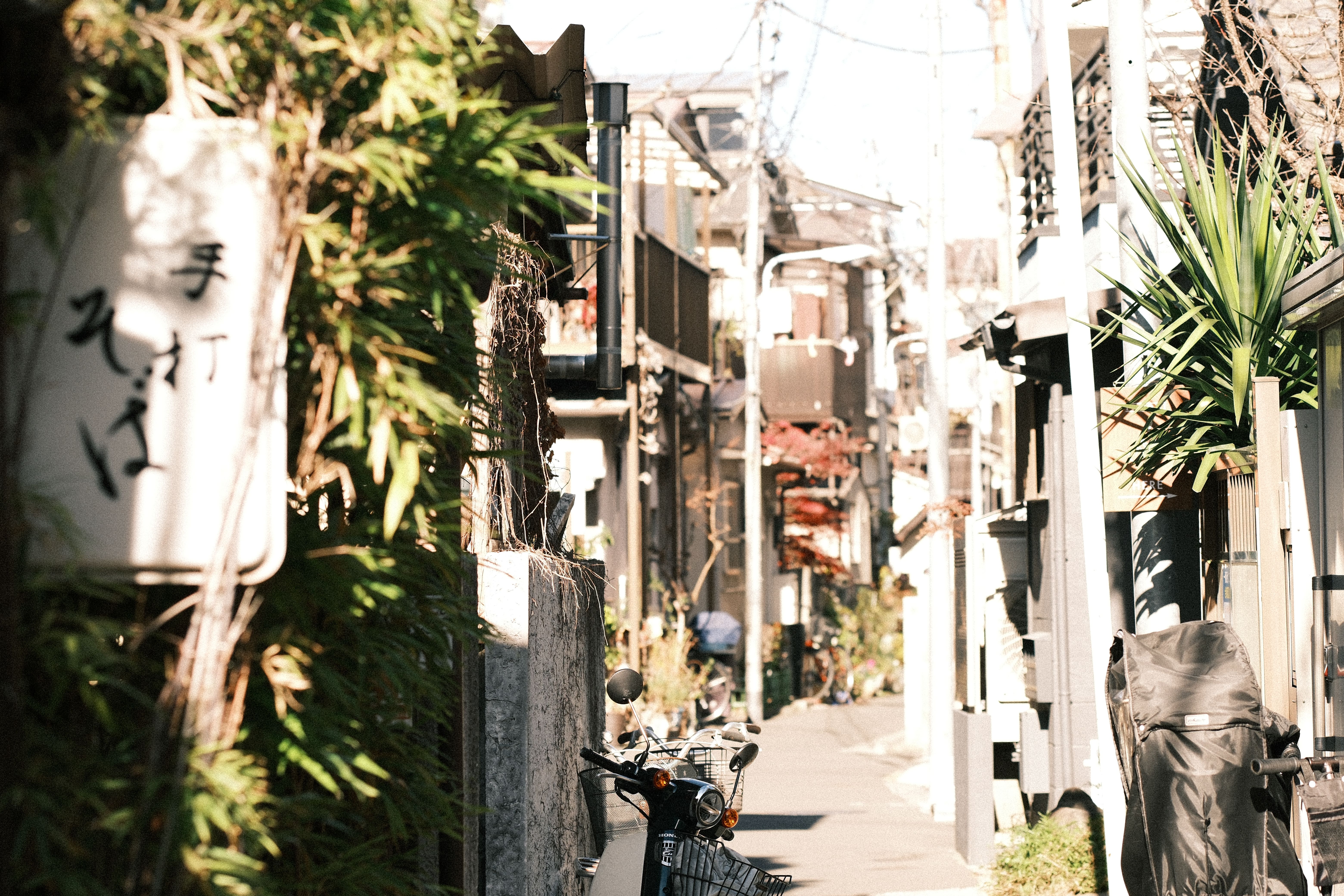 A quaint Japanese alleyway with plants and bicycles under the warm daylight, showcasing local charm.