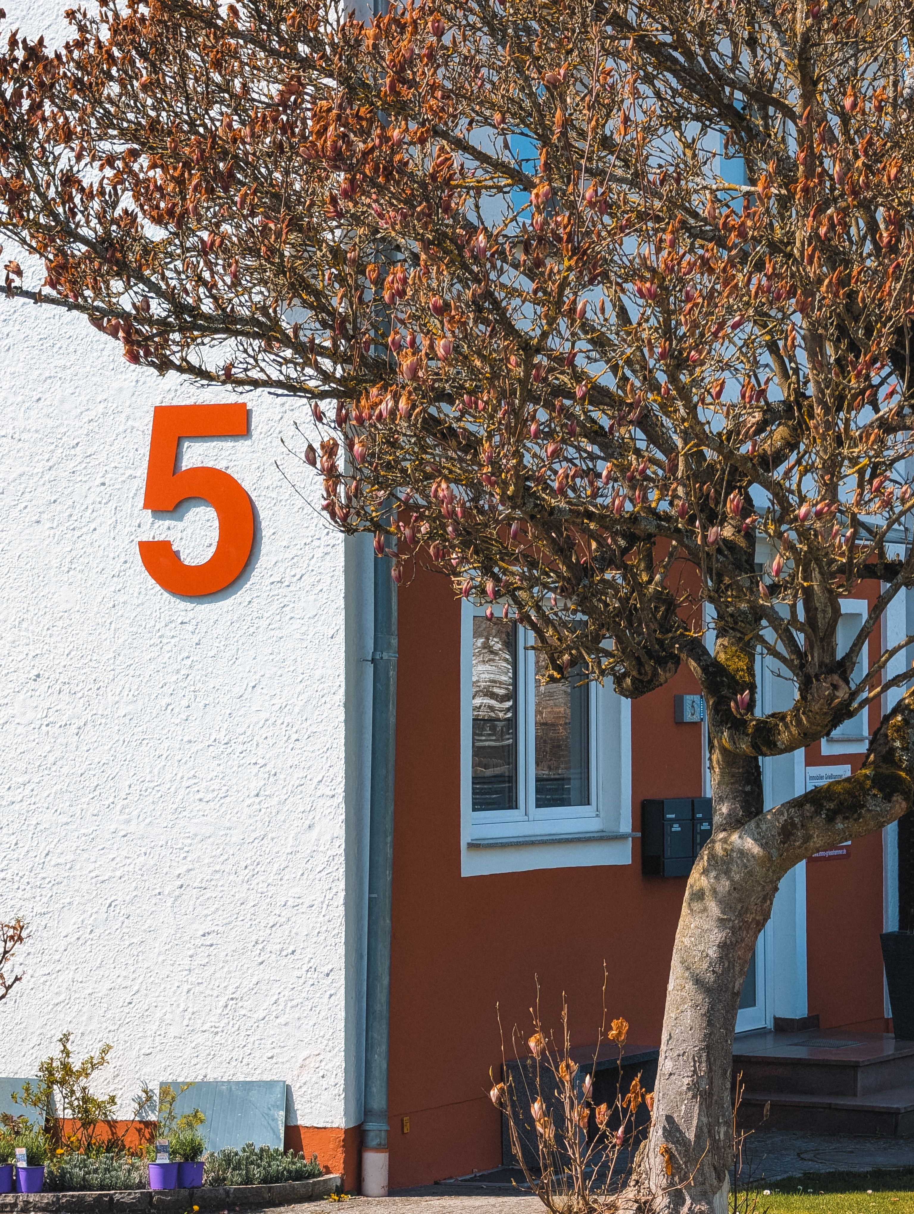 5 Zen Principles For Better Life