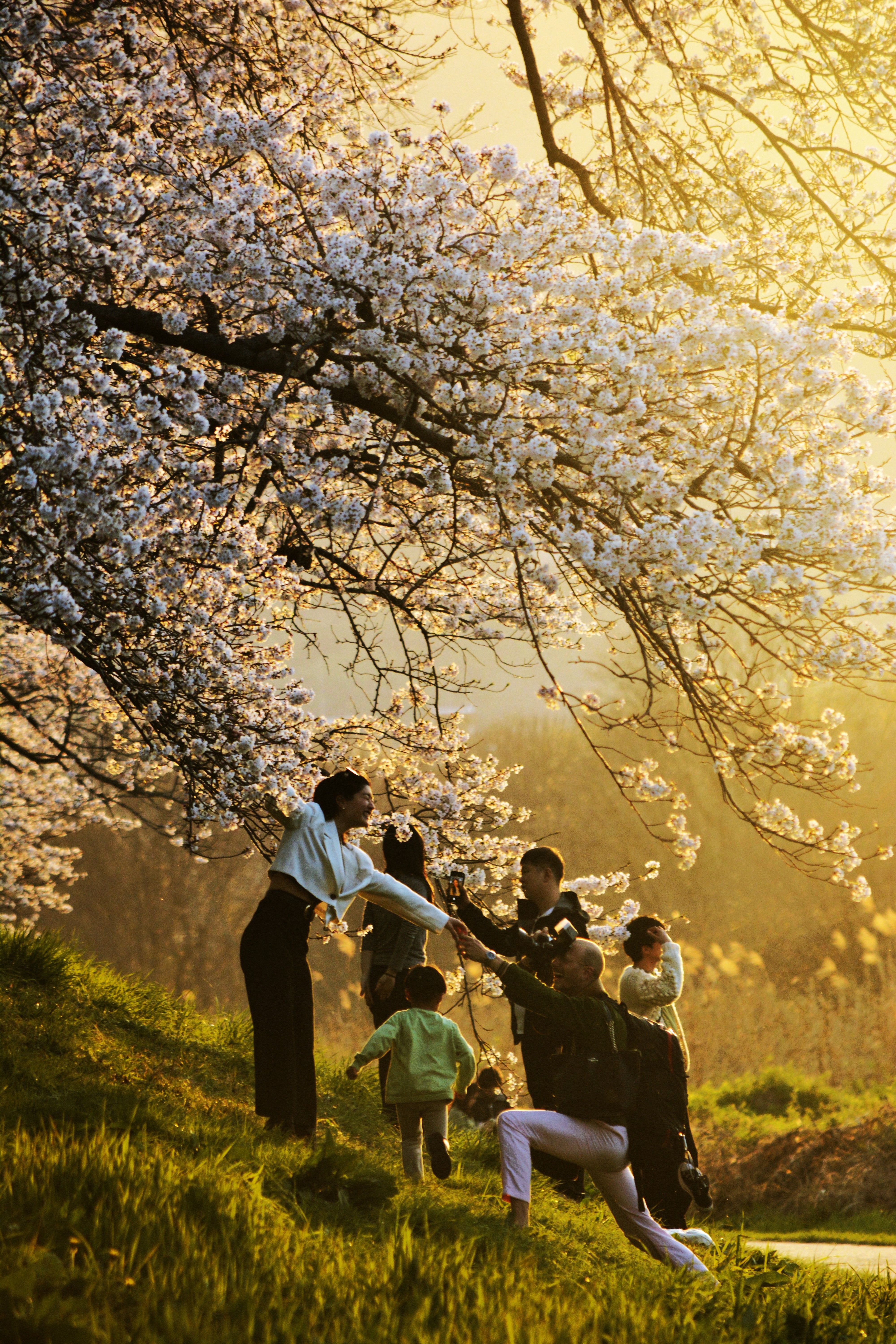 10 razones para que tu familia viva la magia de Japón con niños de 10 años
