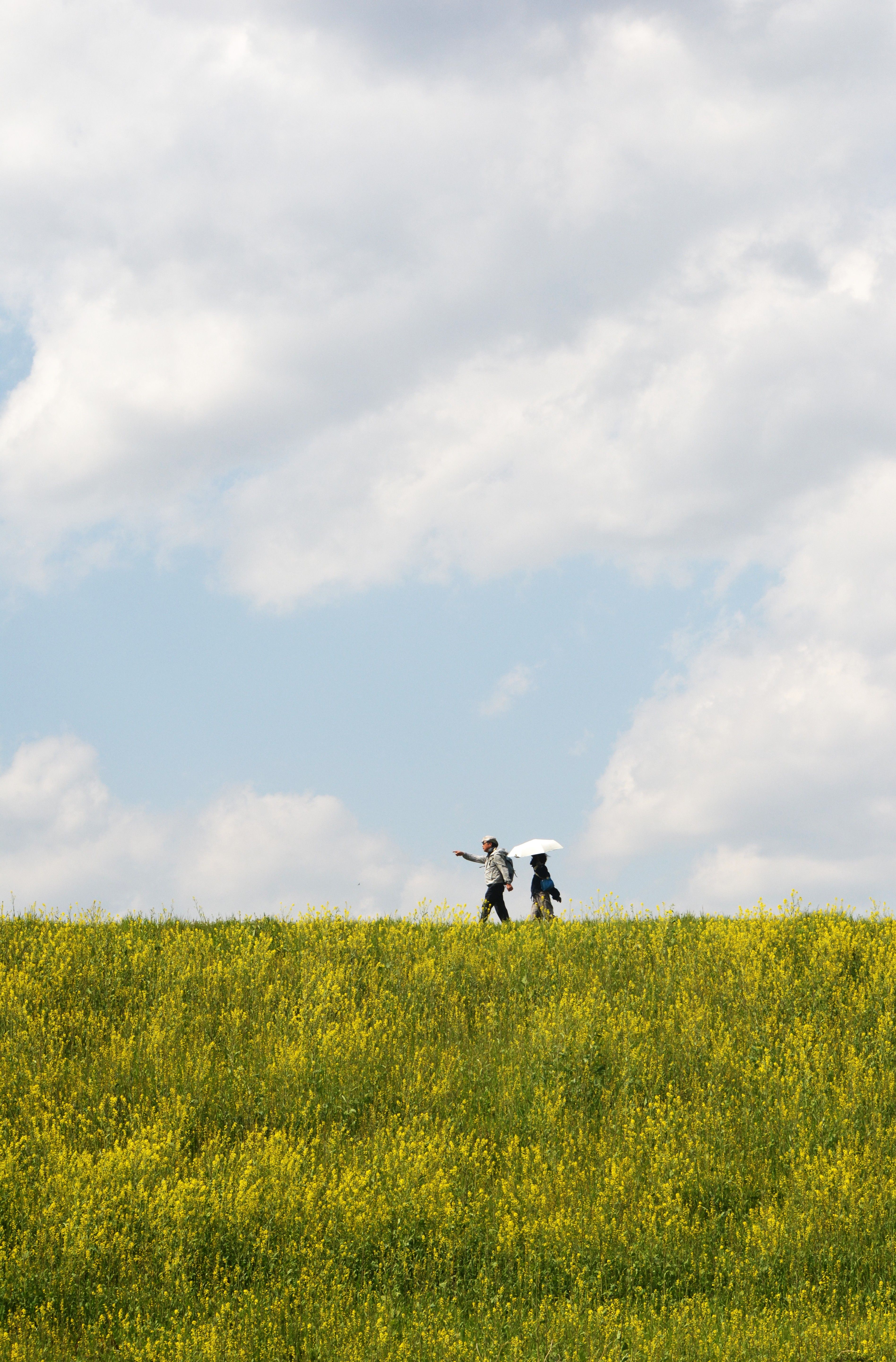 Strolling in Osaka's Vibrant Spring Landscape · Free Stock Photo