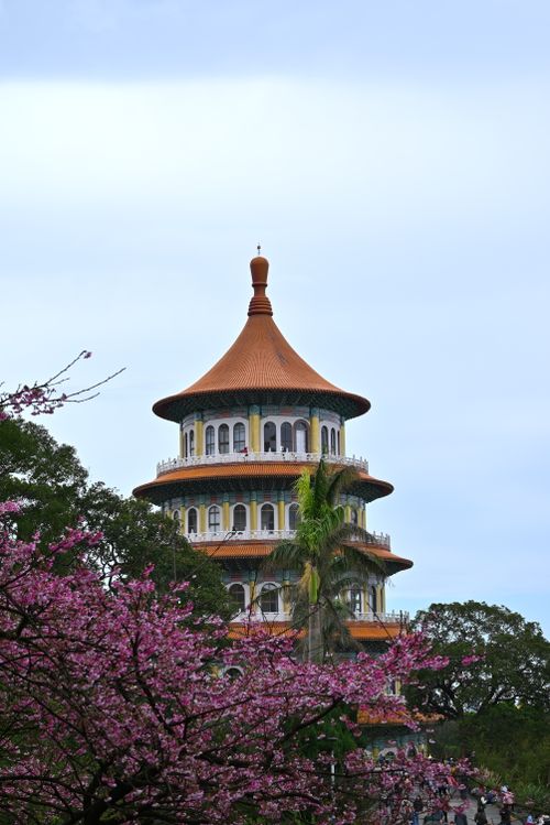 Free Picturesque pagoda surrounded by cherry blossoms and lush greenery, capturing Taiwan's cultural essence. Stock Photo