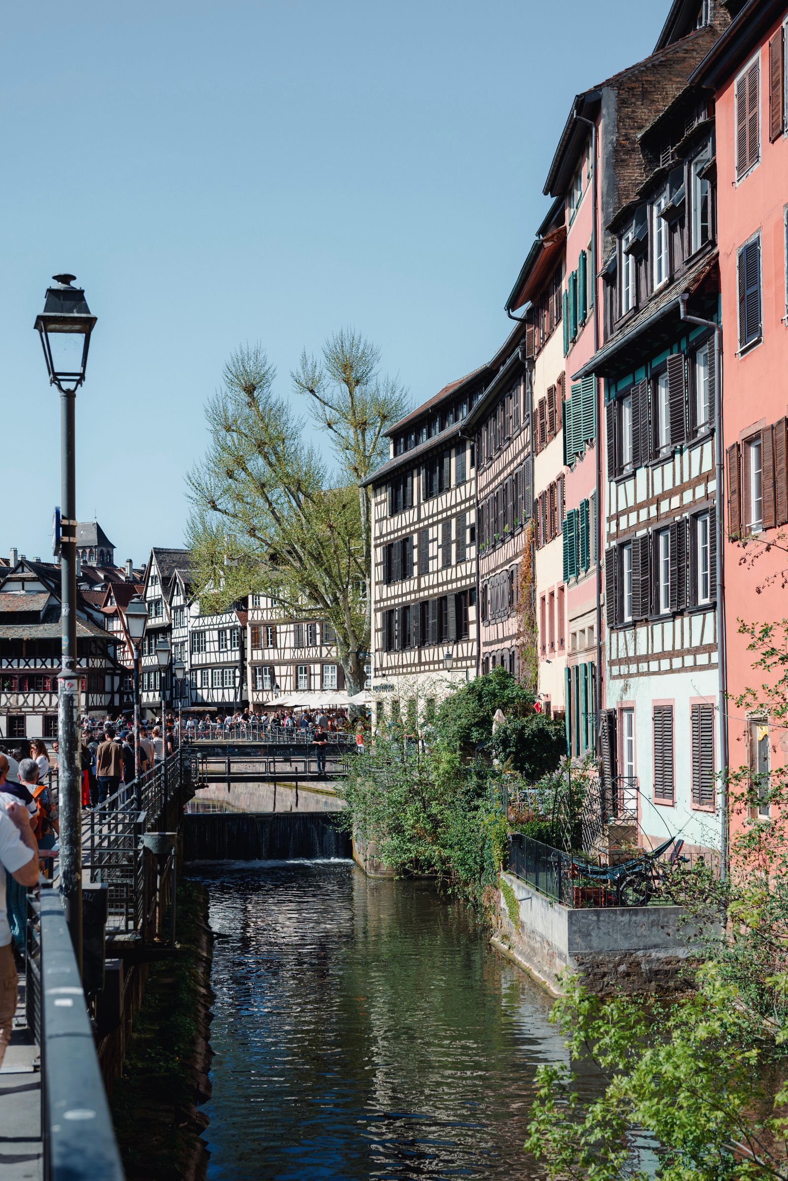 Maisons à colombages au bord du canal dans le quartier de la Petite France à Strasbourg
