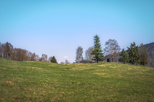 Free Expansive green field under a clear blue sky with scattered trees in a serene spring setting. Stock Photo