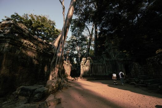 Ta Prohm and Bayon with archaeologist — Siem Reap