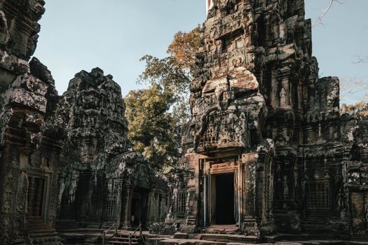 Ta Prohm and Bayon with archaeologist — Siem Reap