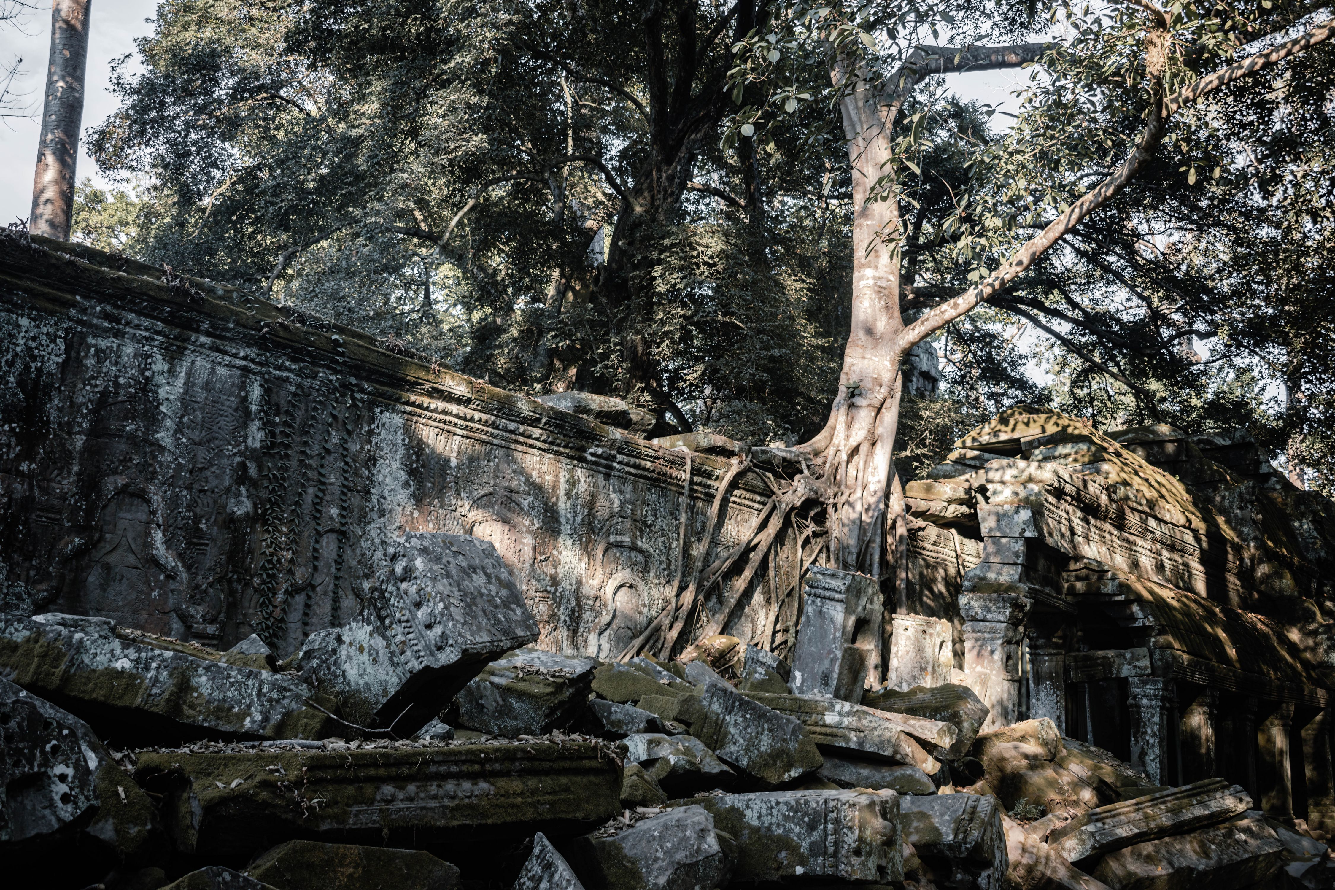 Tours, activities & tickets in Ta Prohm