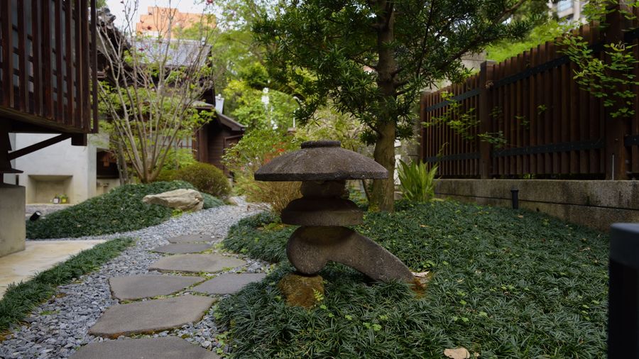 Scandi-Style Moss & Stone Garden: The 12-Week Build