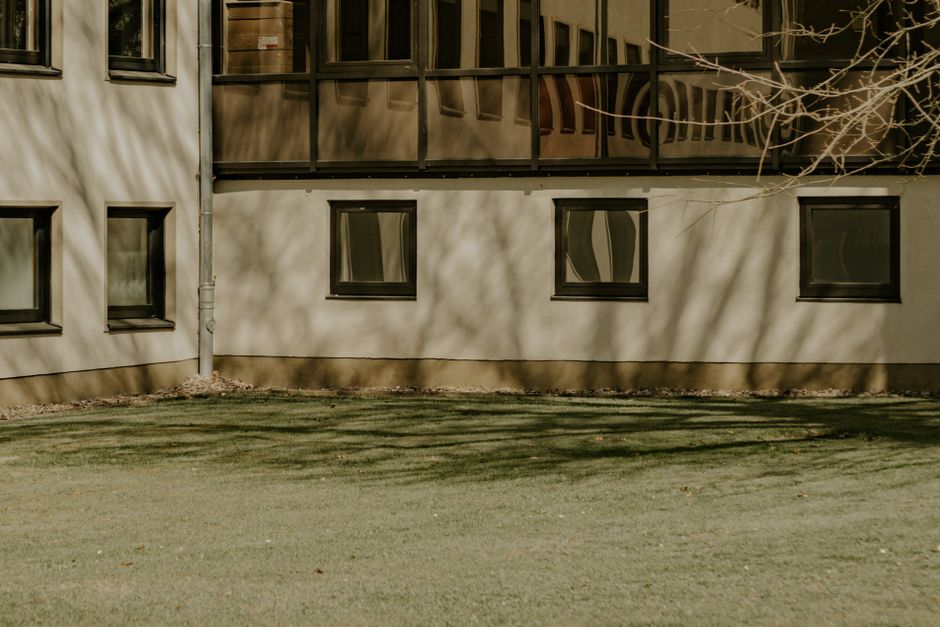 How to Fix Bare Spots in Your Lawn: A Step-by-Step Guide