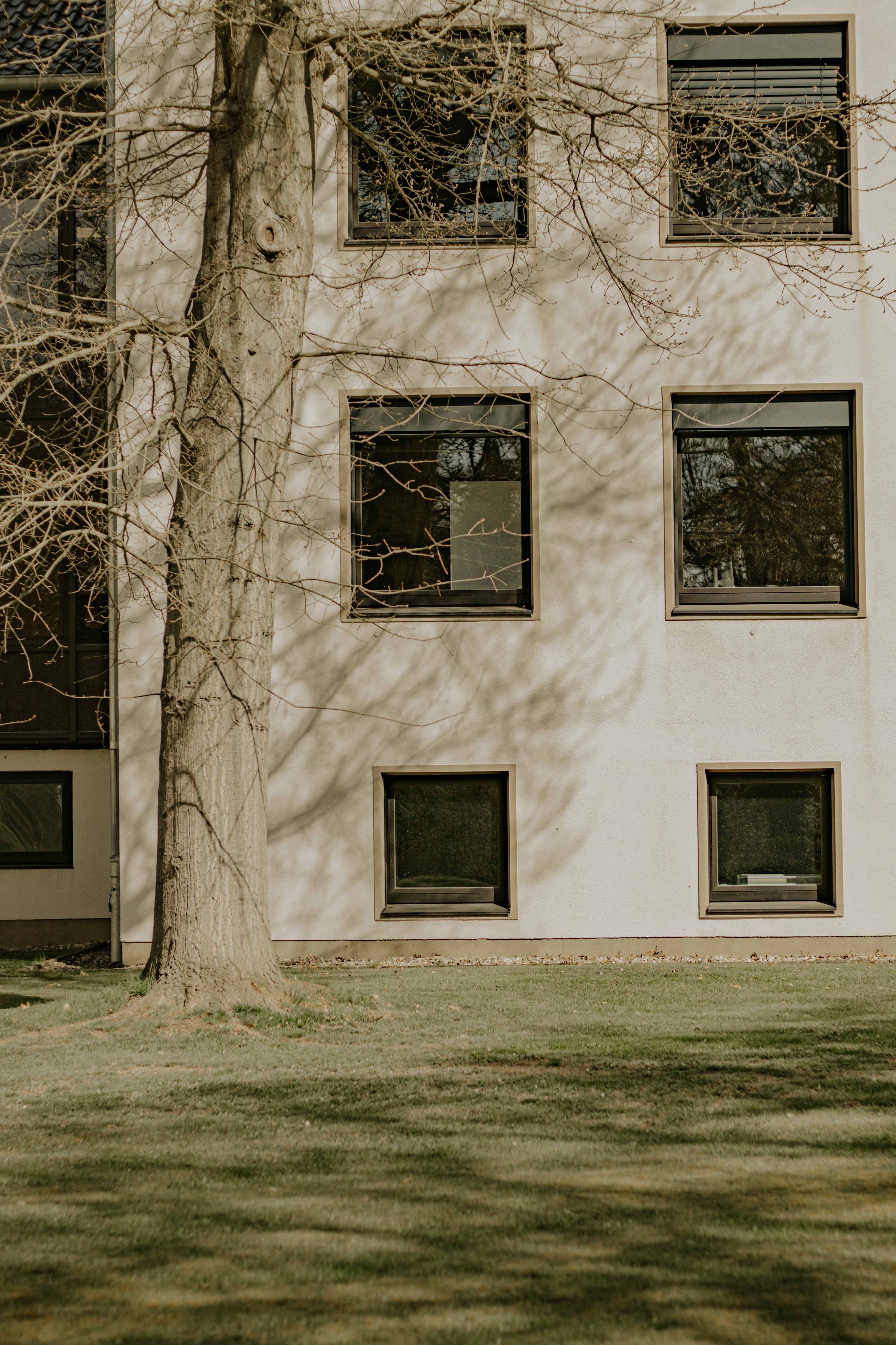 Minimalist Beige Building Facade with Tree Shadow · Free Stock Photo