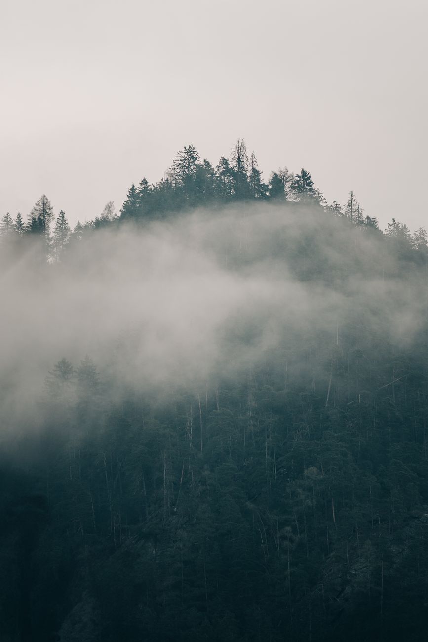 A serene view of a forested mountain peak shrouded in mist with a cloudy sky overhead.. pexels, serene, view