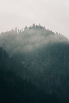 Misty forested ridge, eberhard grossgasteiger on Pexels