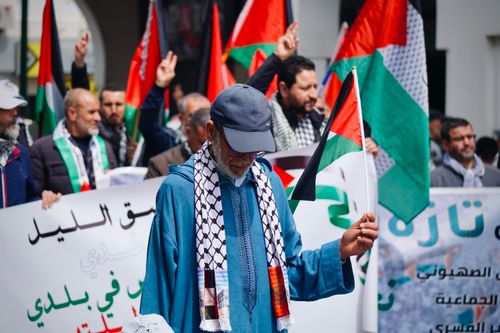 Free Protesters in Rabat display Palestinian flags during a peaceful demonstration. Stock Photo