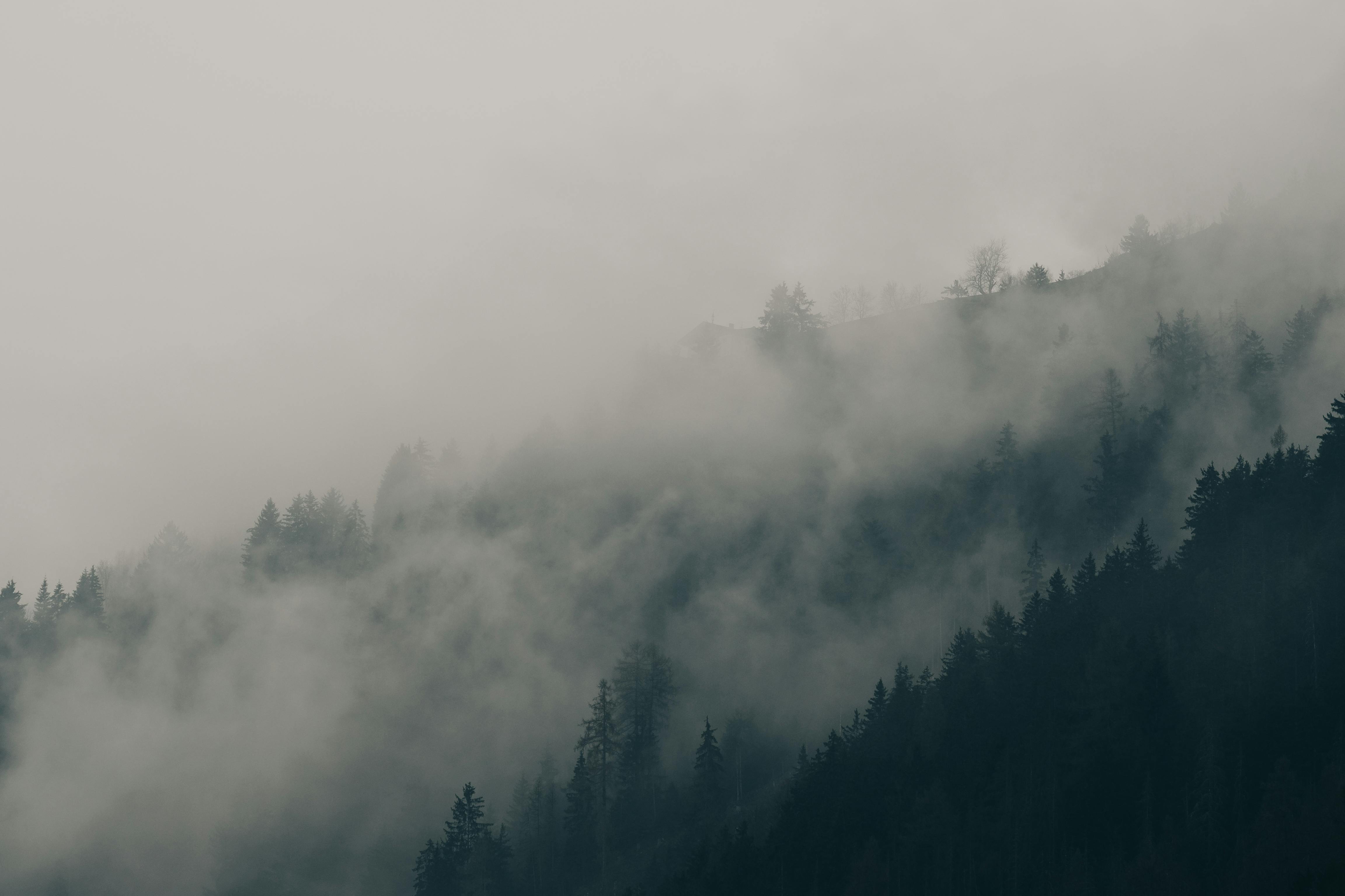林祐介写真集　PicturesqueWinterLandscape•KARHU Forest Under Clouds · Free Stock Photo