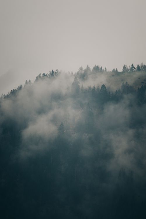 Free A serene misty mountain with dense forest creates a tranquil scene. Stock Photo